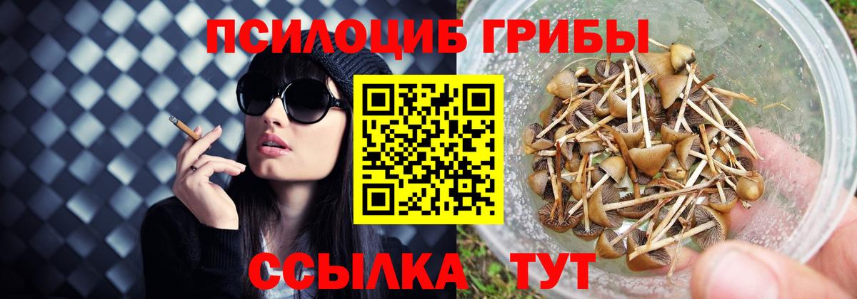 Псилоцибиновые грибы прущие грибы  Вход с VPN  Гурьевск 