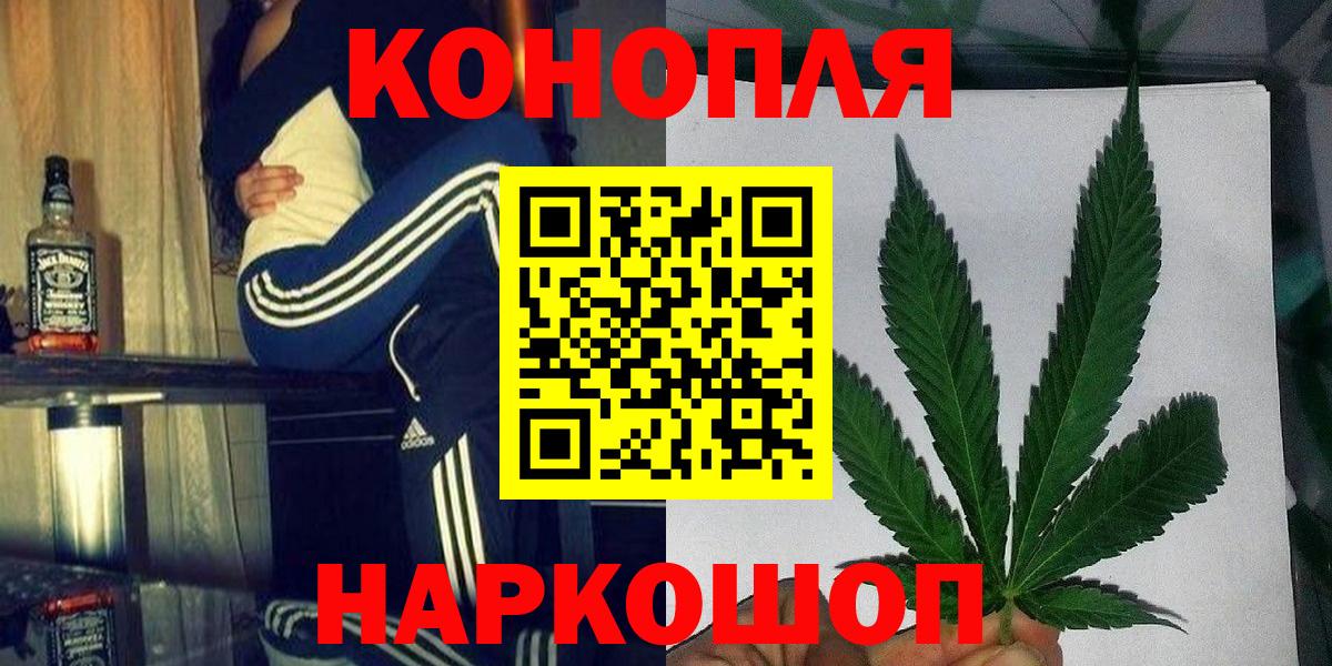 Шишки марихуана семена  Вход с VPN  Конопля Bruce Banner  Гурьевск 
